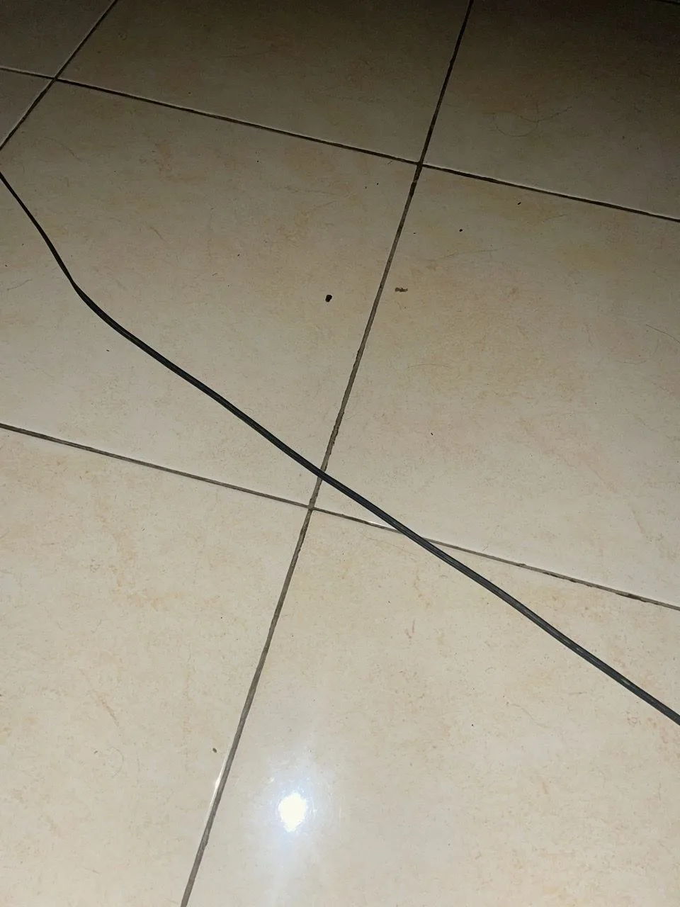 Foto ulasan alfaninn
