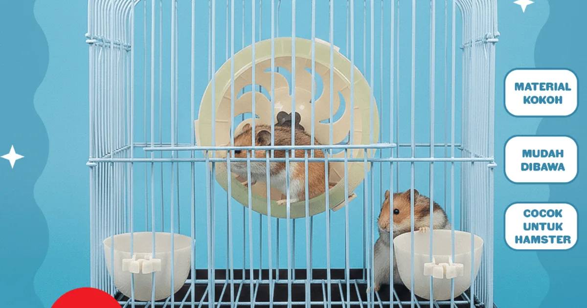 Cara Merawat Hamster untuk Pemula