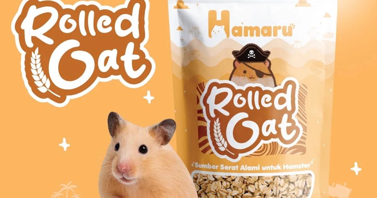 Porsi dan Jadwal Makan Hamster yang Benar