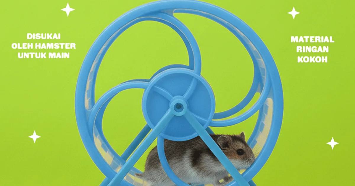 Rekomendasi Mainan Hamster Terbaik