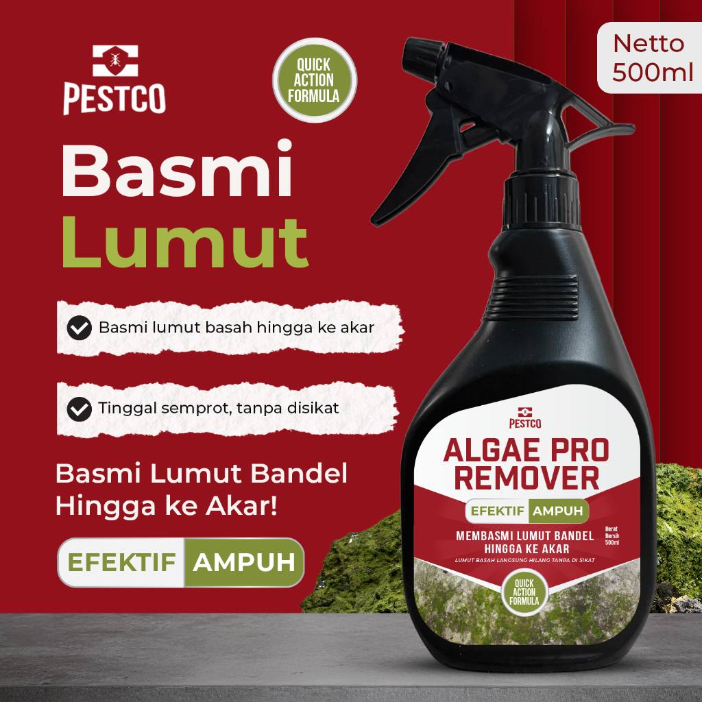 Pembersih & Anti Lumut