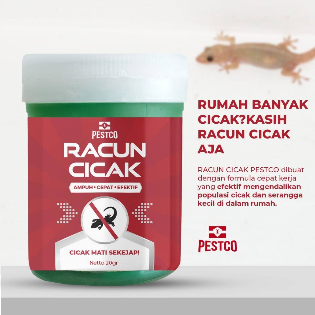 PESTCO Racun Cicak Ampuh 20gr Pembasmi Cicak Cepat Kerja Anti Serangga Rumah Cicak Mati Sekejap