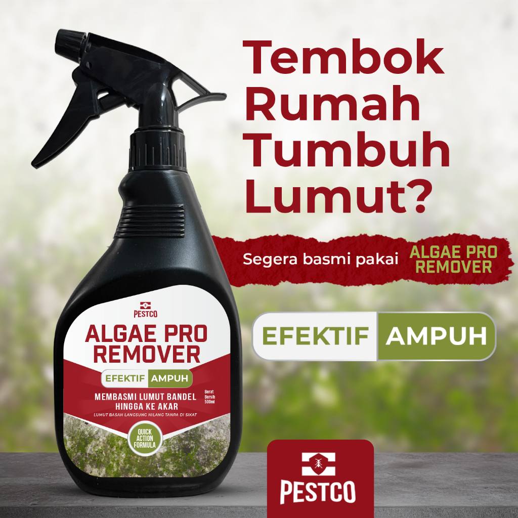 PESTCO Algae Pro Remover 500ml Cairan Pembasmi Lumut Tembok Lantai Paving Aman & Ampuh
