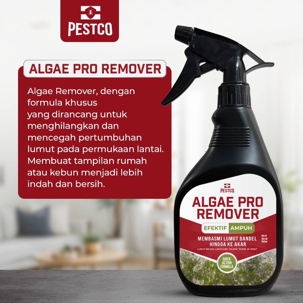 PESTCO Algae Pro Remover 500ml Cairan Pembasmi Lumut Tembok Lantai Paving Aman & Ampuh