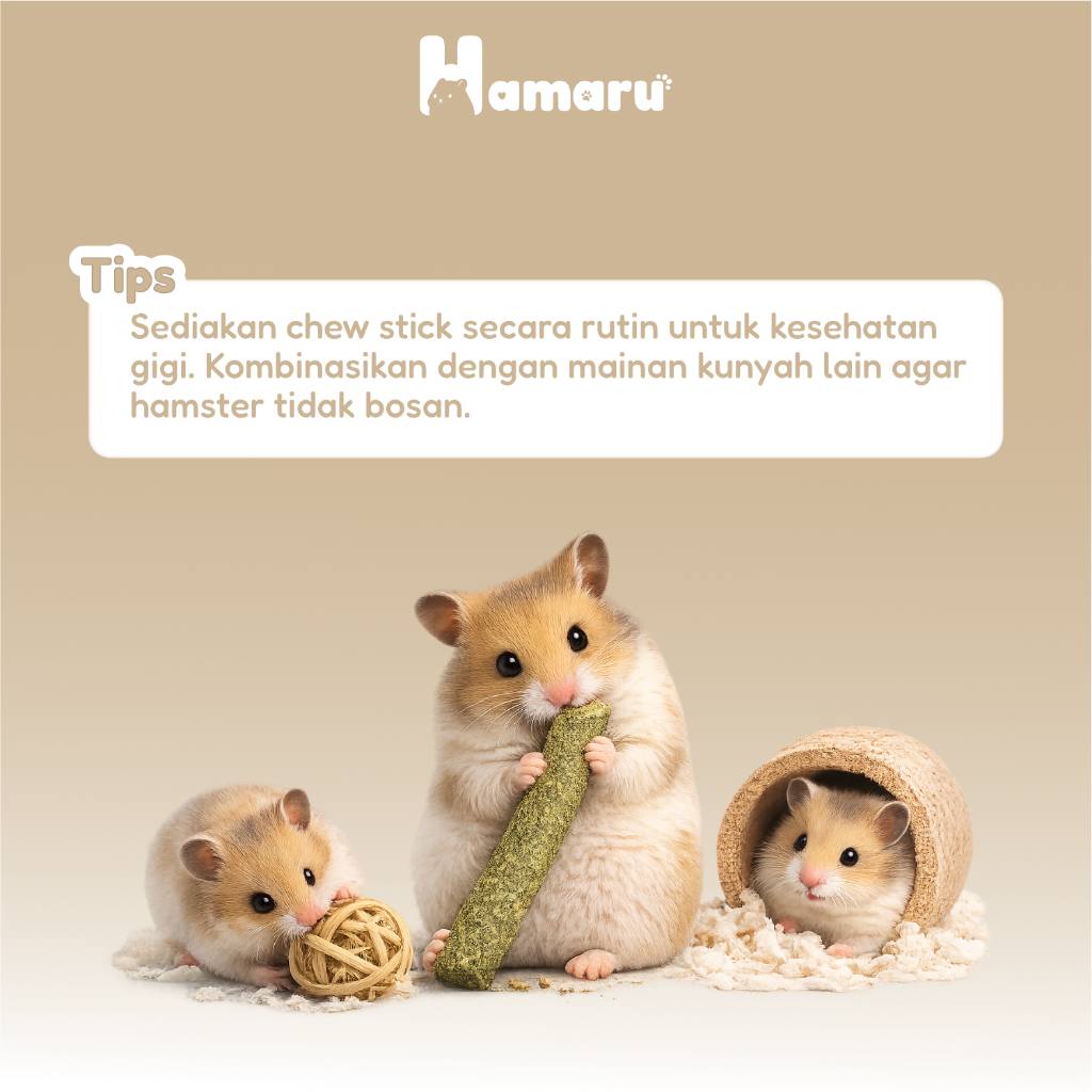 Hamaru Natural Hay Chew Stick Mainan Kunyah Hamster Pengikis Gigi Alami Hamster Kelinci Marmut Hewan Kecil