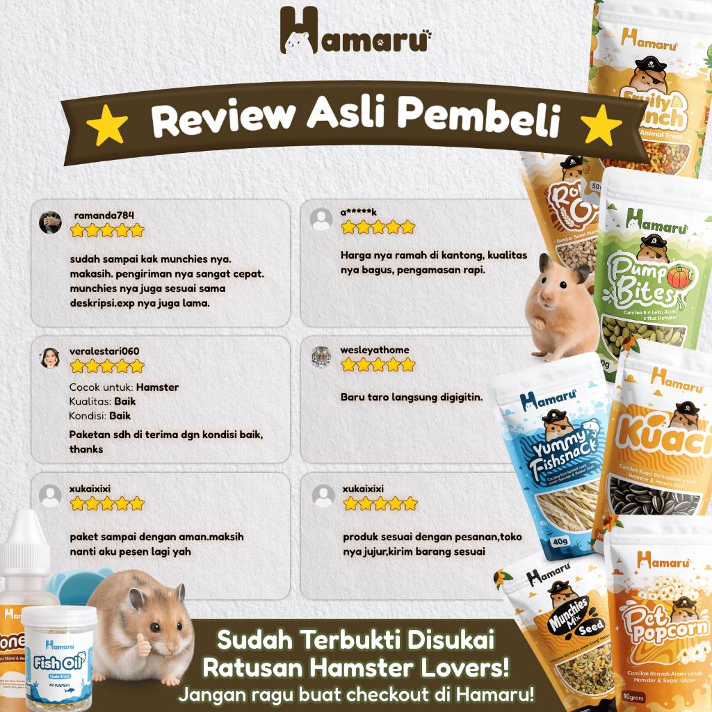 HAMARU Rumah Kayu Hamster DIY Kingdom Castle Tempat Bermain & Eksplor Hewan Kecil