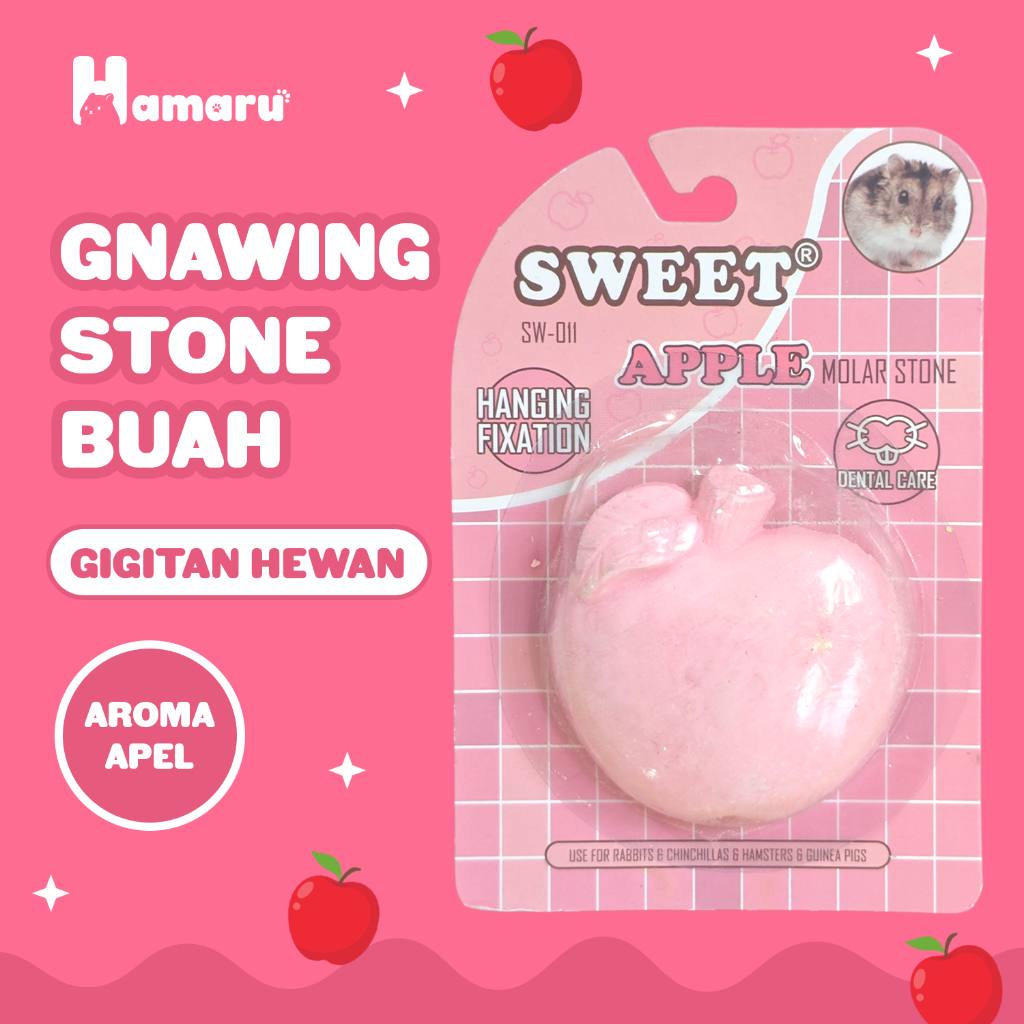 HAMARU Gnawing Stone Buah Batu Gigitan Hewan Hamster Bentuk Buah - Apel