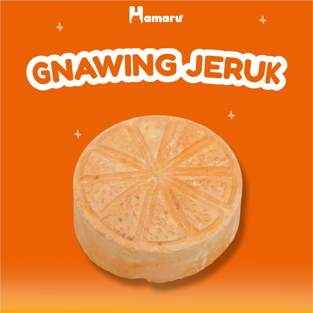 Hamaru Gnawing Buah Jeruk Mainan Gigit Chew Toy Hamster Sugar Glider Marmut Hewan kecil